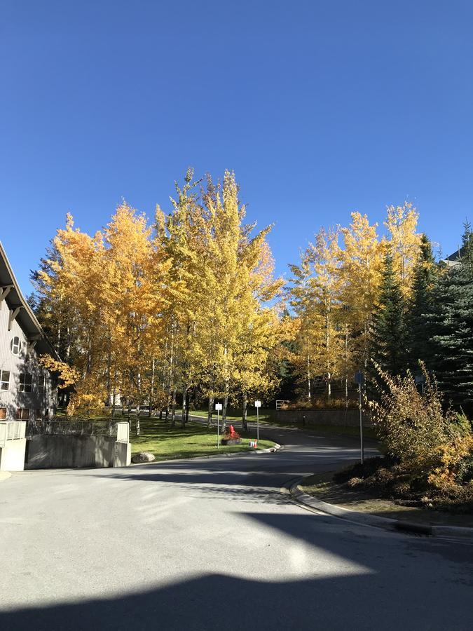 The Best Top Floor Ski-In/Ski-Out At The Aspens Whistler Exterior foto
